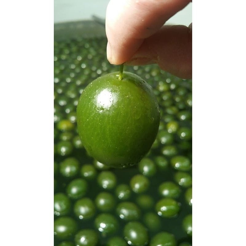 ciruelas-confitadas