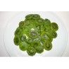 kiwi-confitado