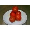tomates-confitados
