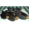 cuartos-de-limón-con-chocolate-negro