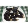 cuartos-de-limón-con-chocolate-negro